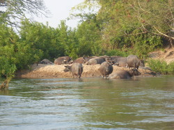 Tour des &icirc;les en bateau