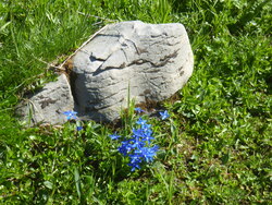 Les jardins du Seigneur/ສວນດອກໄມ້ຂອງພຣະເຈົ້າ