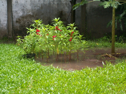 Les pieds dans l'eau!