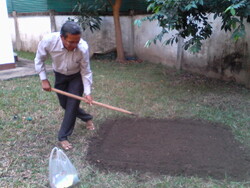 Pulsions jardini&egrave;res