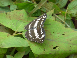 De Ban Kapeu à Vientiane