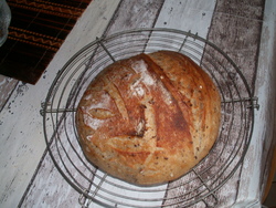 Donne-nous aujourd'hui...