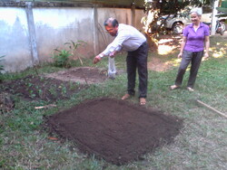 Pulsions jardini&egrave;res