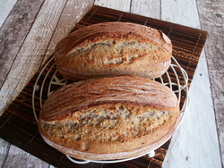 Novembre d&eacute;j&agrave;!