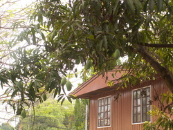 B&eacute;n&eacute;fices de la saison chaude!