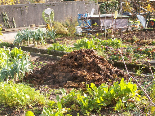Mon jardin n'est pas v&eacute;gane...