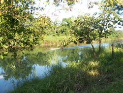 Il me dirige près des eaux paisibles...
