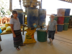 Paks&eacute;, TerraClear