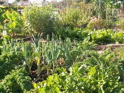 L'automne, fin ou recommencement?