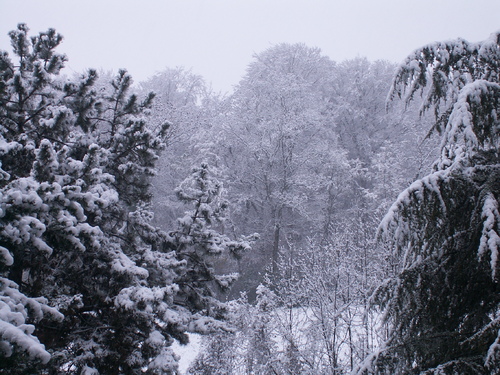 La premi&egrave;re surprend toujours!