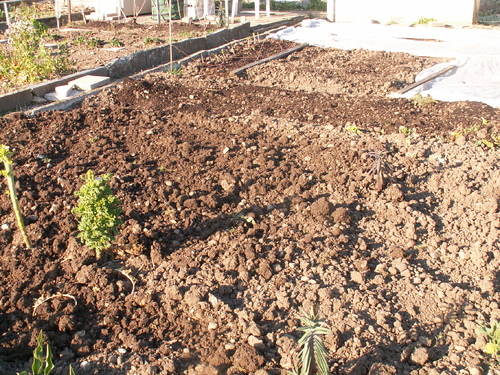 Le jardin renaissant!