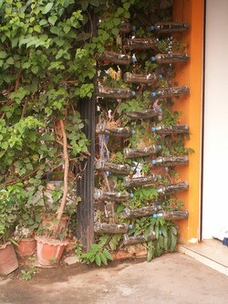 Mur v&eacute;g&eacute;tal ing&eacute;nieux