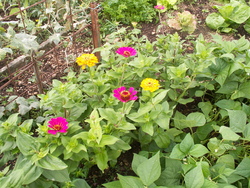 Ao&ucirc;t, le mois des r&eacute;coltes...