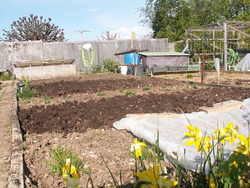 Nettoyage de printemps