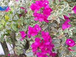 Vientiane premiers jours