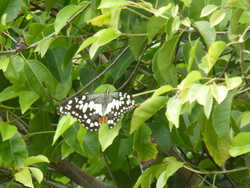 De Ban Kapeu à Vientiane