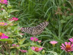 De Ban Kapeu à Vientiane