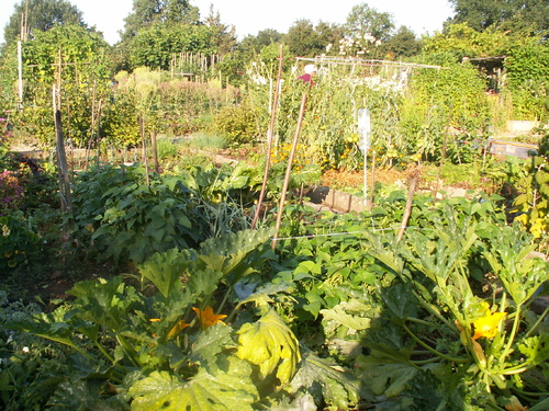 1er ao&ucirc;t,l'&eacute;t&eacute; bascule!