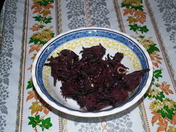 Au jardin en ce moment