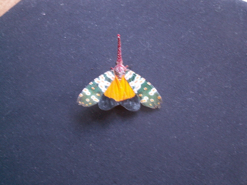 C'est quoi &ccedil;a?