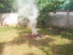 jardin encore: mon sport favori