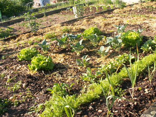 Diversit&eacute; mara&icirc;ch&egrave;re!
