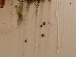 Bient&ocirc;t l'hiver!