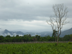 De Ban Kapeu &agrave; Vientiane,bis.
