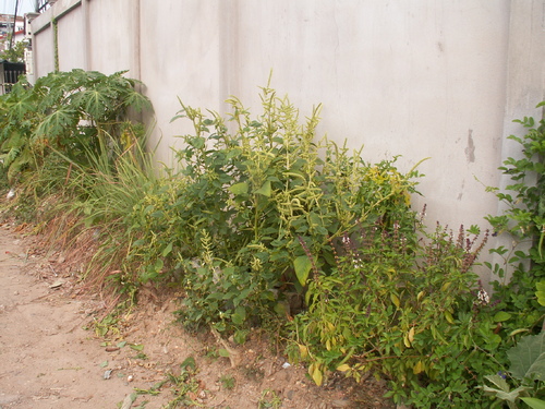 Va, découvre ton nouveau quartier!