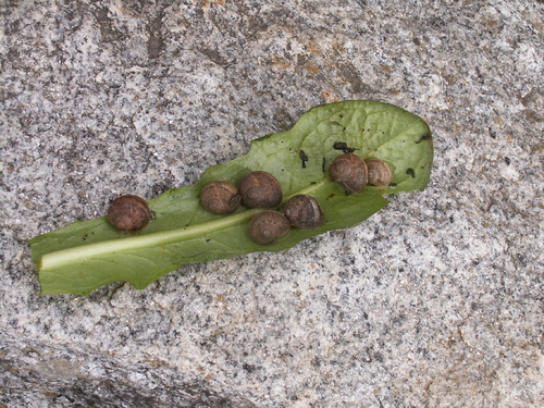 Nettoyage de printemps