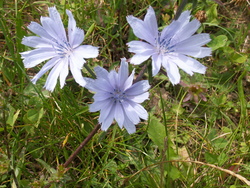 Se d&eacute;tacher...