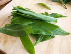 Une soupe aux herbes sauvages!