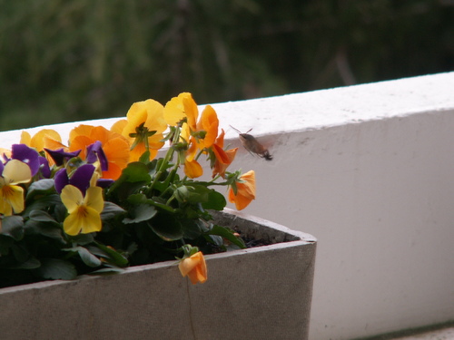 N'y a plus de saisons/