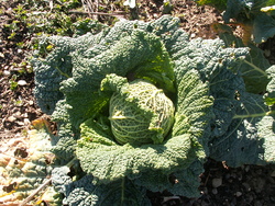 Transition saisonni&egrave;re