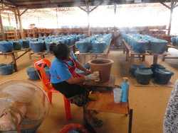 Paks&eacute;, TerraClear