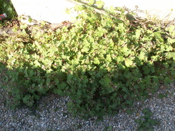 Diversit&eacute; mara&icirc;ch&egrave;re!