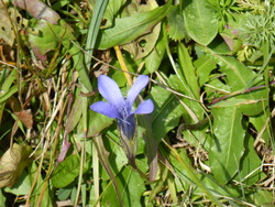 Le pays o&ugrave; l'on est n&eacute;...