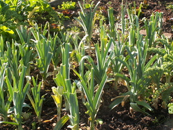 L'automne, fin ou recommencement?