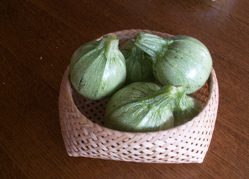 Chronique du potager10