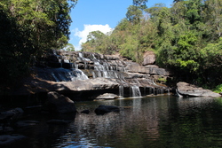 Chemin des orchid&eacute;es