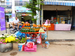 31 ao&ucirc;t: la f&ecirc;te du riz qui pousse